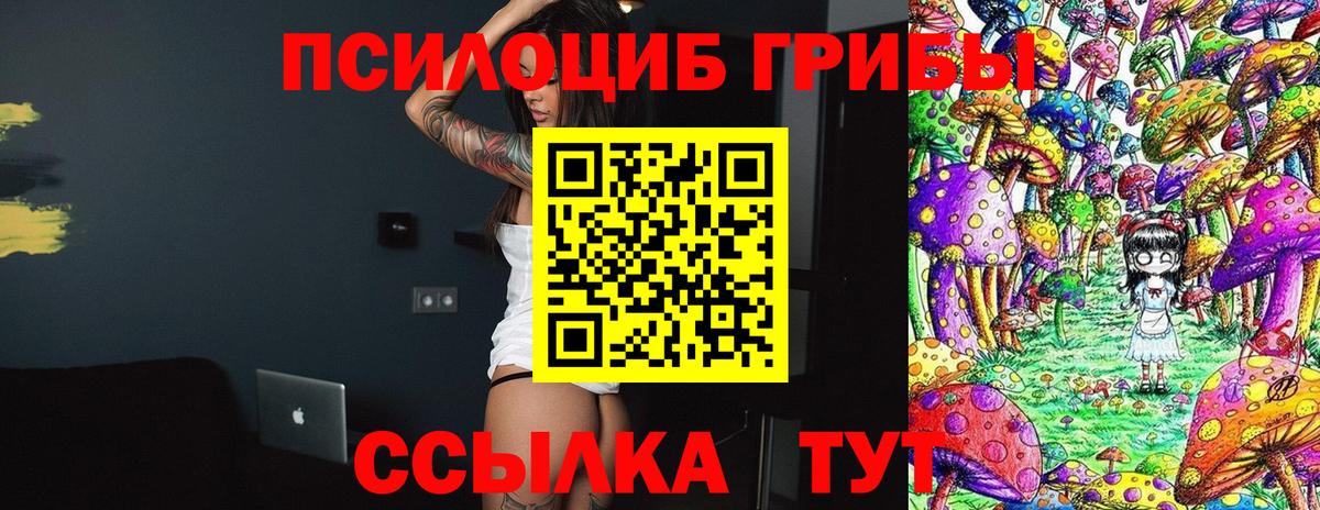 Кемерово  Псилоцибиновые грибы мухоморы  Вход с VPN 