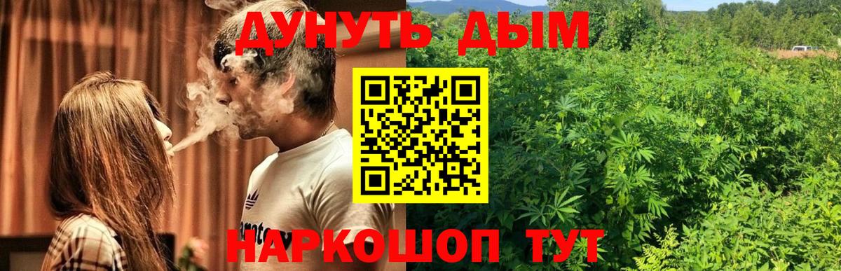 Бошки Шишки семена  Вход с VPN  Шишки марихуана SATIVA & INDICA  МАРИХУАНА сатива  Кемерово 